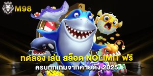 ทดลอง เล่น สล็อต Nolimit ฟรี ครบทุกเกมจากค่ายดัง 2025